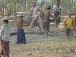 Villagers forced to work for Burma army Villagers forced to work for Burma army