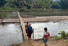 Photo of Salween Peace Park, KWO Call for Protection of Indigenous Midwives